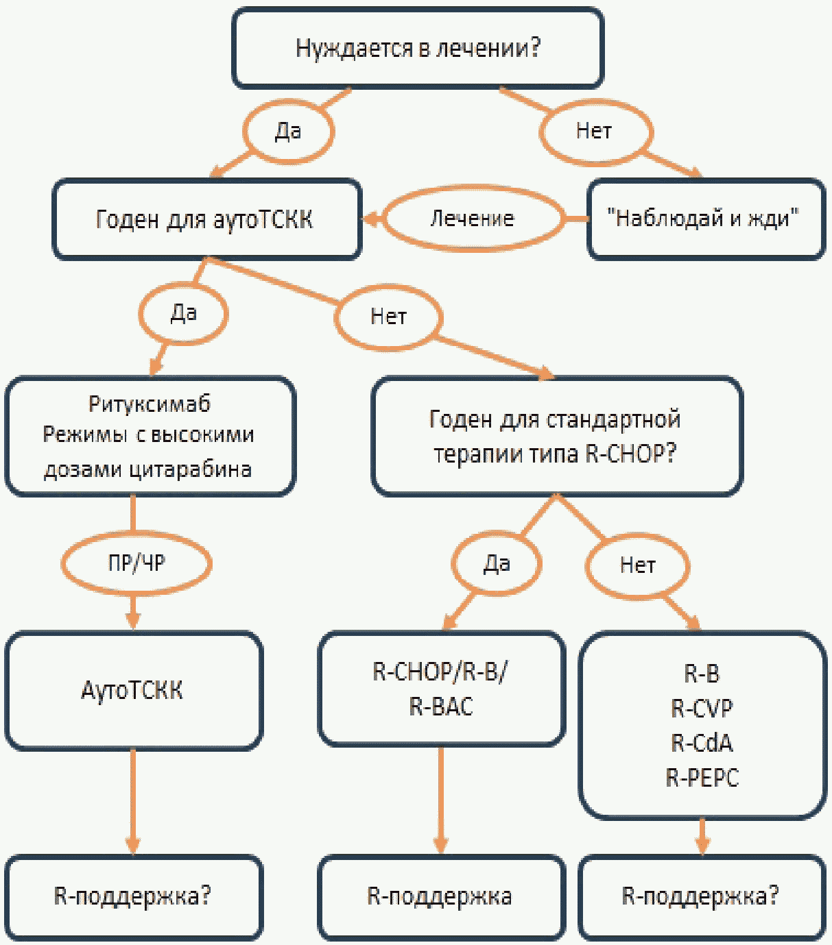 Лечение токсокароза у взрослых схема