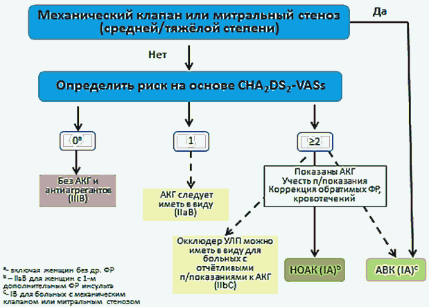 Антикоагулянтная терапия при фибрилляции предсердий презентация