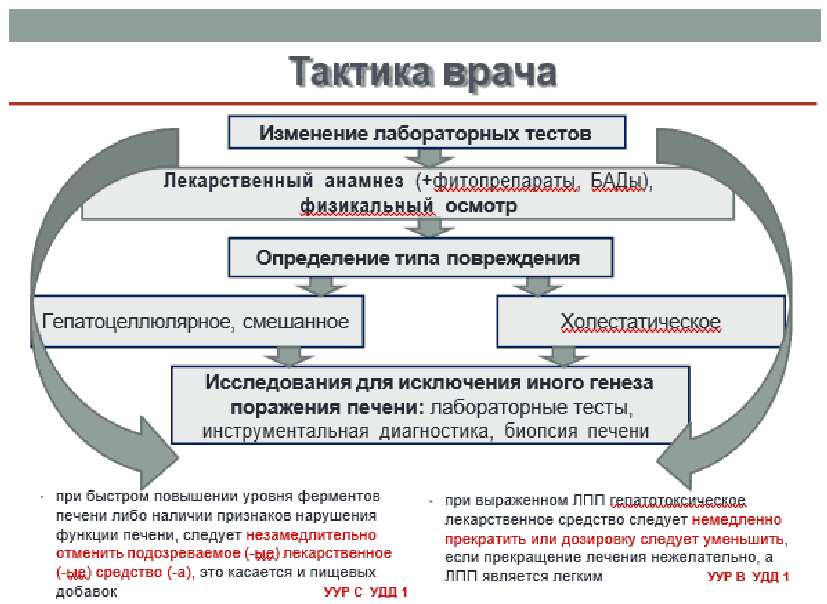 Профессиональный план врач