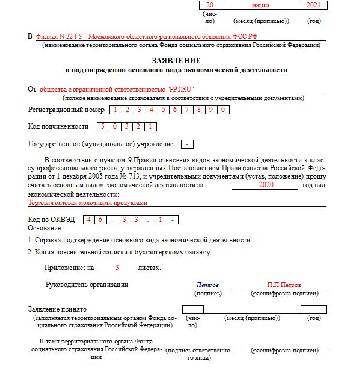 Заявление о подтверждении основного вида экономической деятельности в ворде
