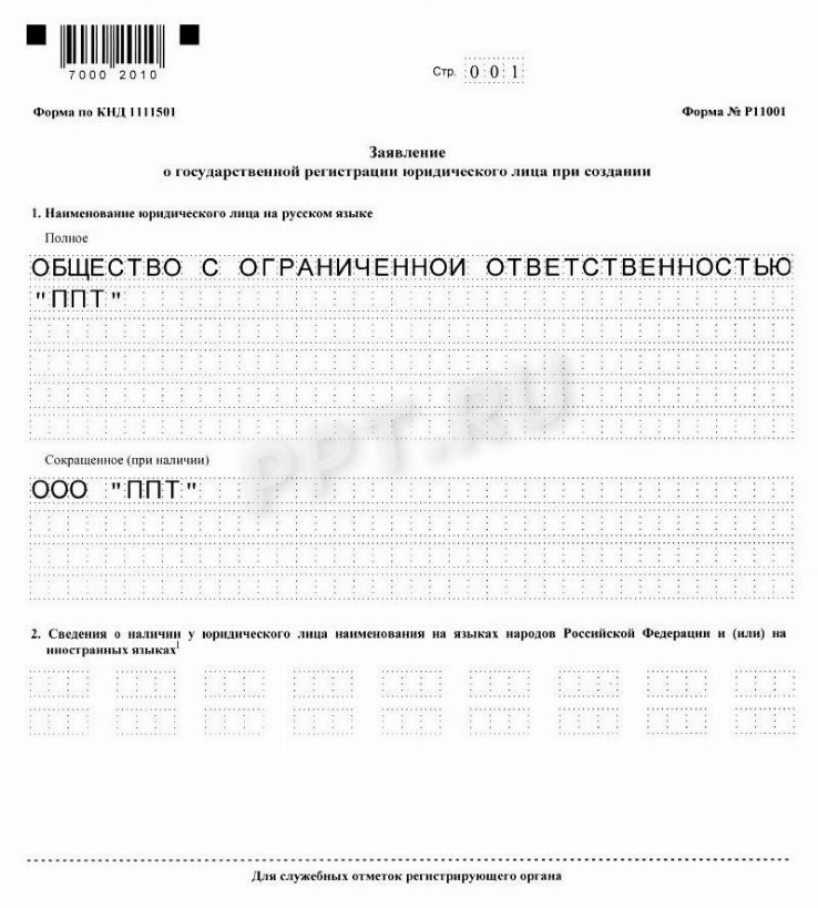 Образец заполнения новой формы 11001 в 2024 году