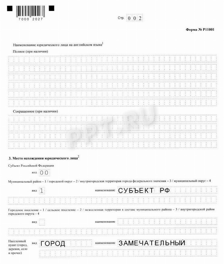 Образец заполнения новой формы 11001 в 2024 году