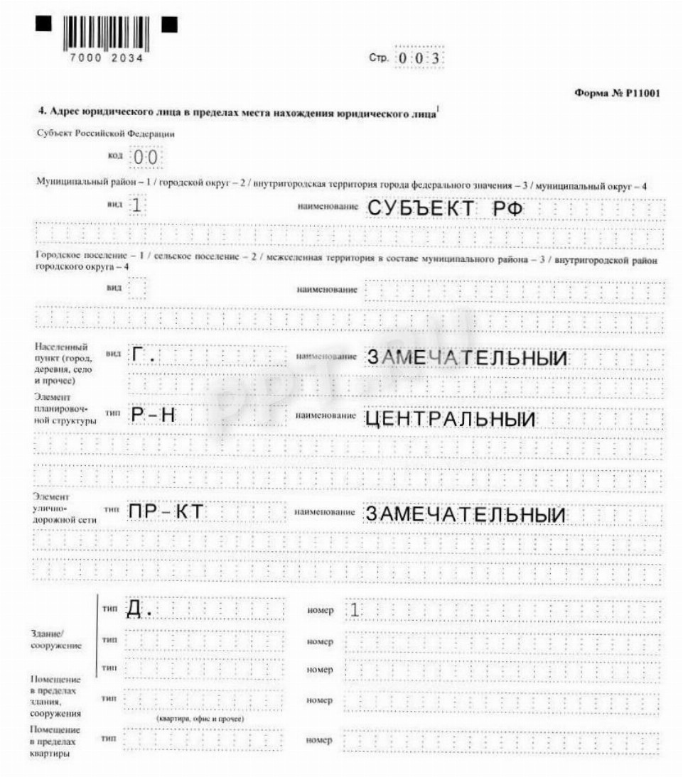 Образец заполнения новой формы 11001 в 2024 году