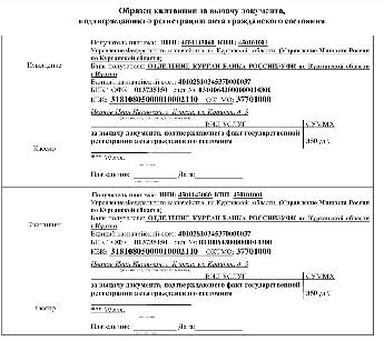 Образец квитанции на оплату госпошлины за получение паспорта в 14 лет