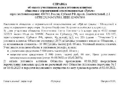 Образец справки об оплате доли в уставном капитале в ООО в 2024 году