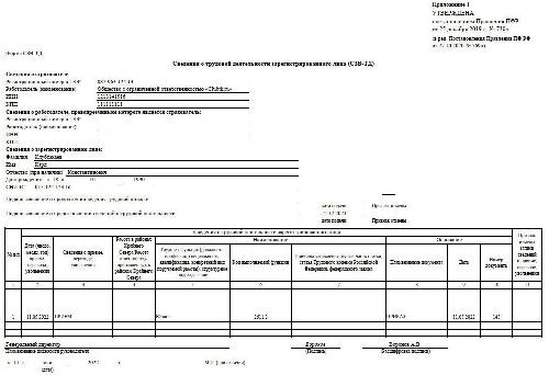 Образец заполнения сзв тд в 2023 году