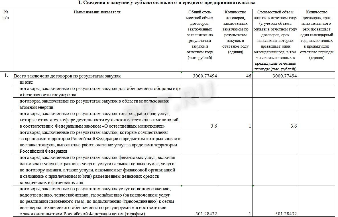 Образец годового отчета о закупках у субъектов МСП, стр. 2