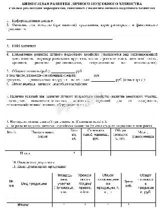 Бланк бизнес-плана для соцконтракта на ведение ЛПХ (стр. 1)