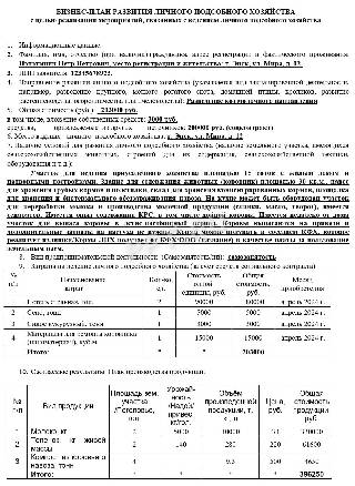 Образец бизнес-плана для соцконтракта на ведение ЛПХ (стр. 1)