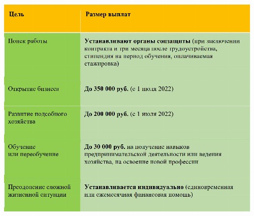 Бизнес план для ип по социальному контракту