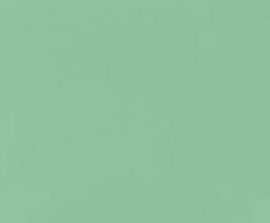 Пример цвета на товарном знаке