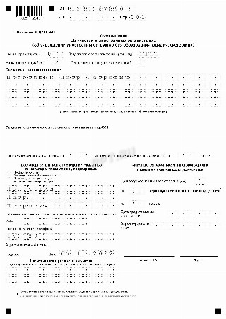 Пример заполнения физическим лицом формы КНД 1120411, стр. 1