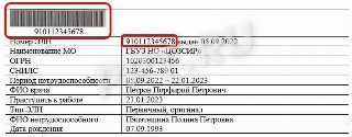 Пример выписки из ЭЛН