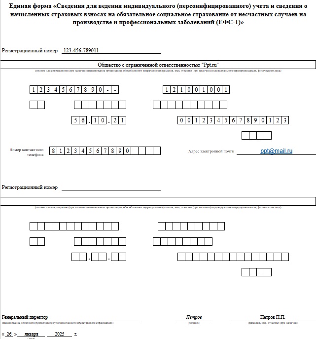 Образец заполнения нового отчета по форме ЕФС-1 в 2024 году (титульный лист)