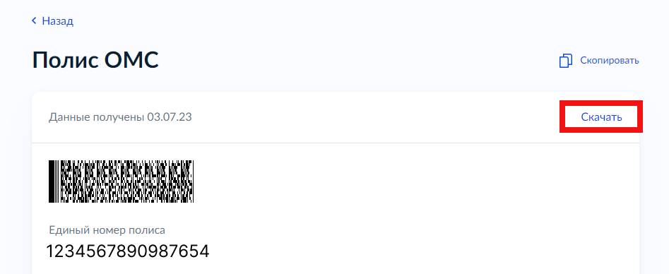 Скриншот страницы госуслуг с функцией скачивания электронного полиса Скриншот страницы госуслуг с функцией скачивания электронного полиса