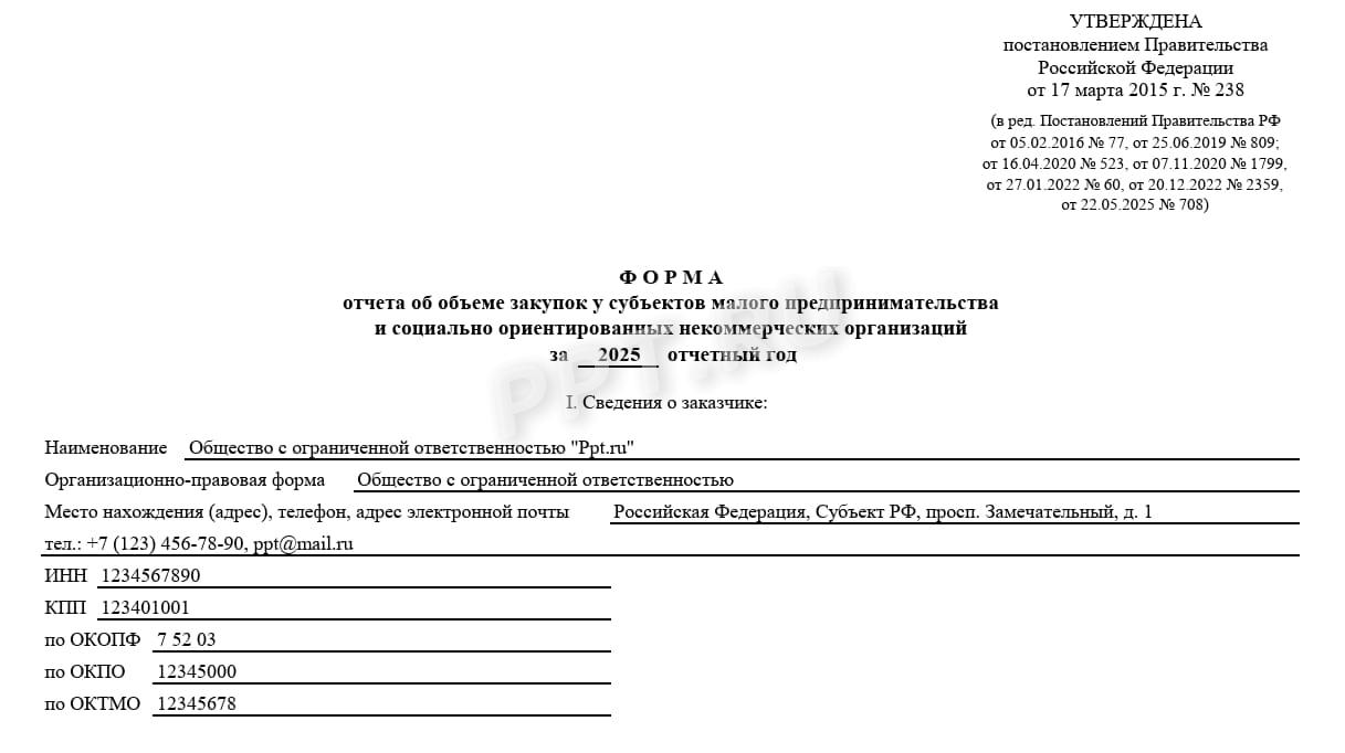 Образец отчета СМП за 2025 год (стр. 1)