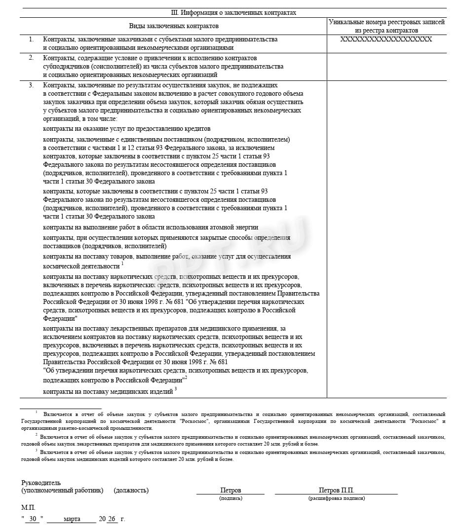 Образец отчета СМП за 2025 год (стр. 5)