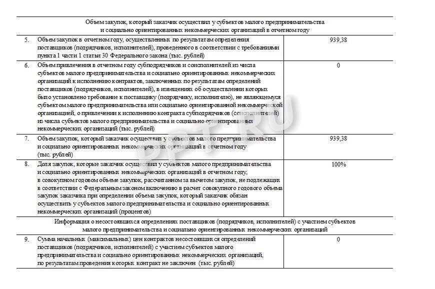 Отчет закупок у СМП, стр. 4