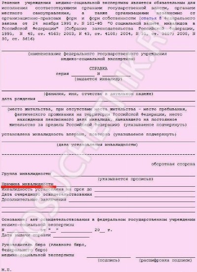 Образец розовой справки об инвалидности в 2024 году