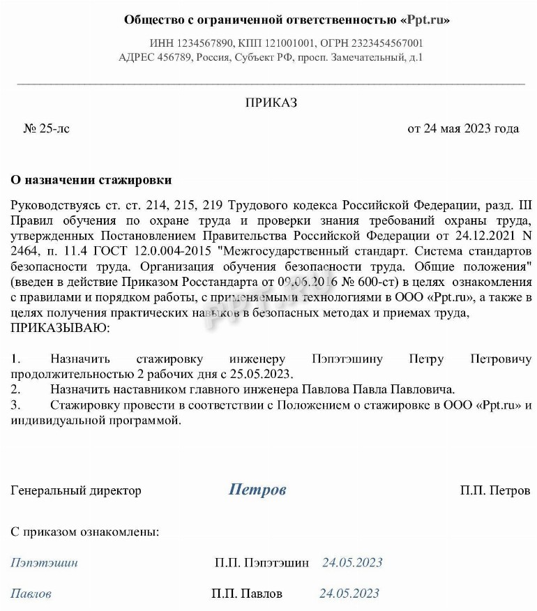 Стажировка на рабочем месте в организации в 2024