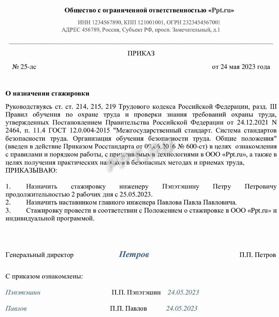 Стажировка на рабочем месте в организации в 2024