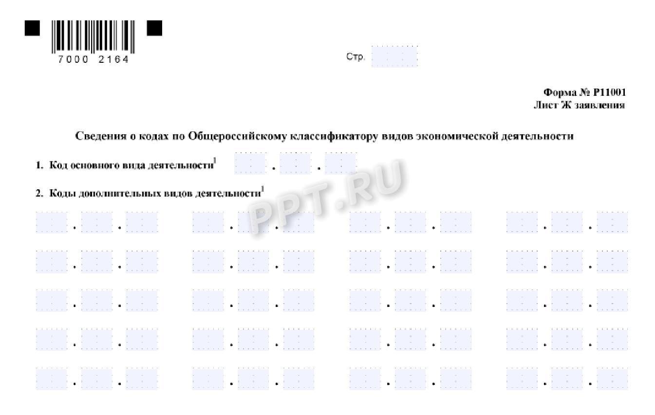 Какие бывают виды экономической деятельности в РФ в 2024