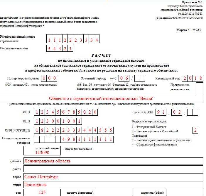 Образец заполнения фсс 1