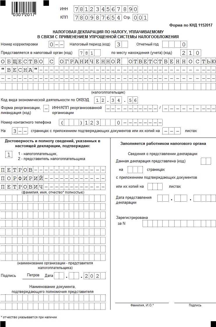 Декларация заполняется от руки или на компьютере