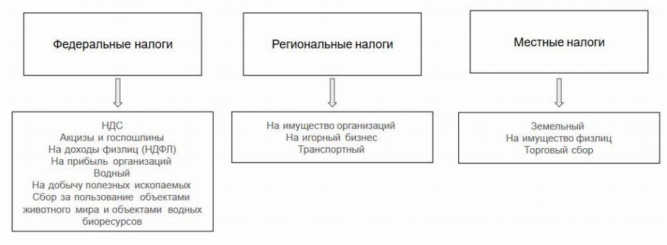 Составьте схему отражающую уровни системы образования рф