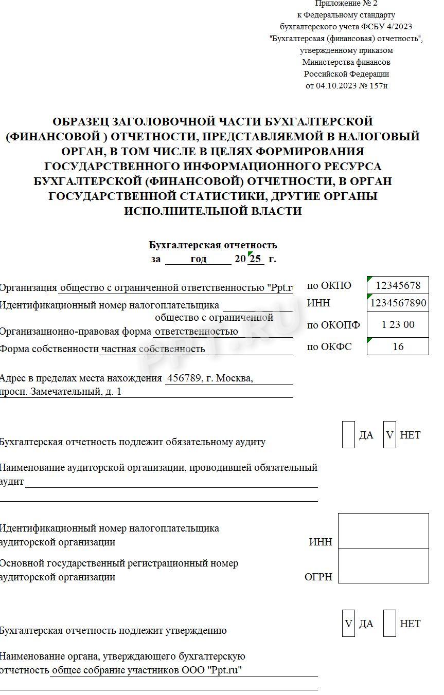Образец заголовочной части бухгалтерской отчетности