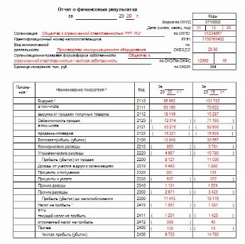 Бухгалтерская отчетность образец