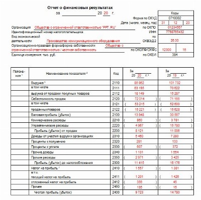 Бухгалтерская отчетность образец