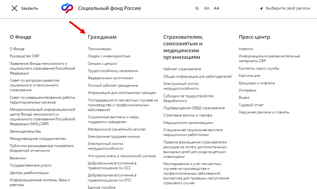 Социальное страхование от СФР