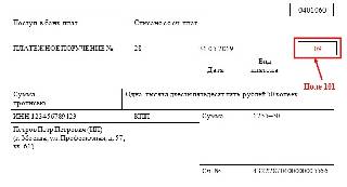 Как заполнить поле 101 в платежном поручении в 1с