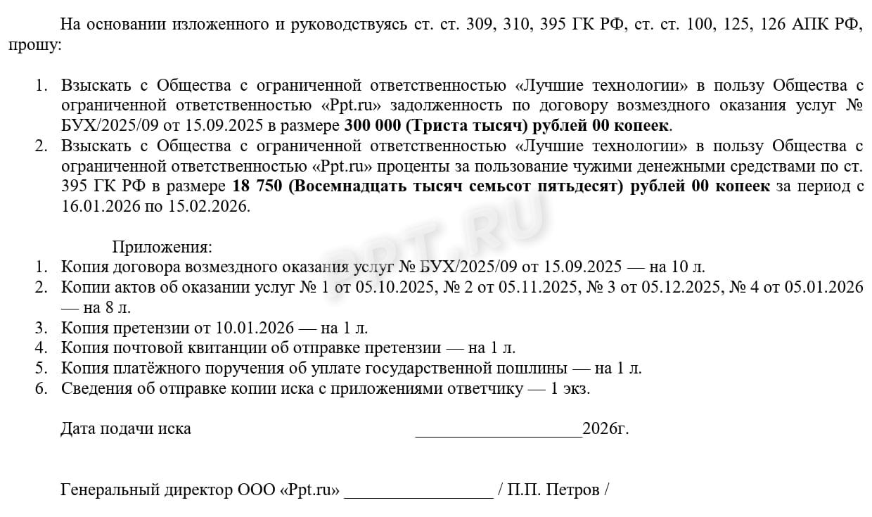 Пример оформления иска для взыскания долга в упрощенном порядке, стр.2