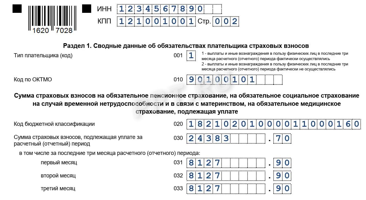 РСВ со взносами за директора (раздел 1) РСВ со взносами за директора (раздел 1)