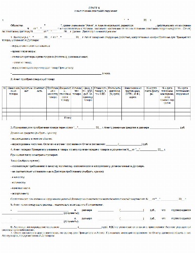 Образец отчета агента по агентскому договору 2024 | Скачать форму, бланк