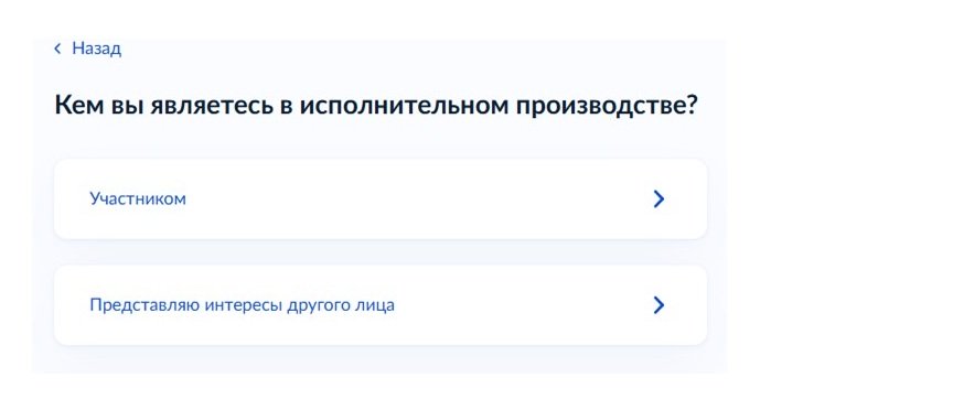 Шаг 2 оформления запроса на Госуслугах Шаг 2 оформления запроса на Госуслугах
