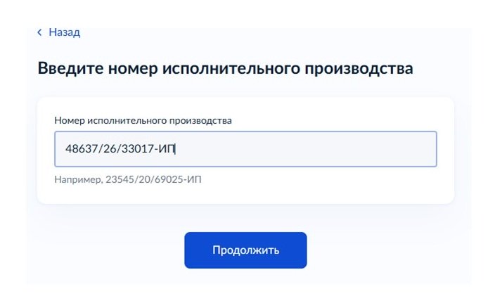 Шаг 3 оформления запроса на Госуслугах Шаг 3 оформления запроса на Госуслугах