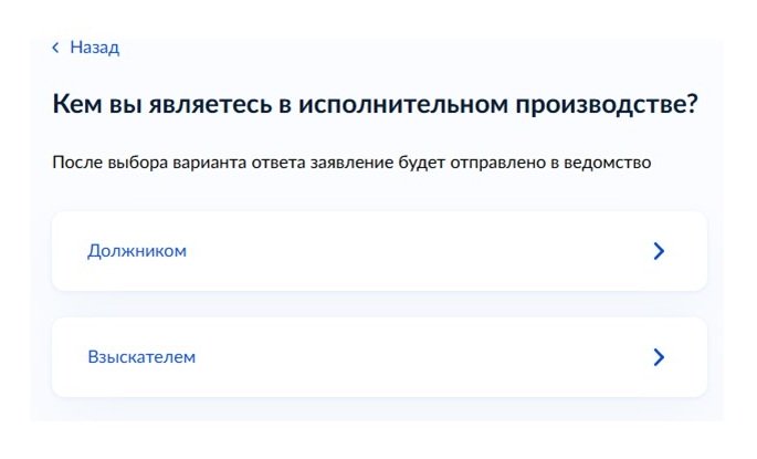 Шаг 4 оформления запроса на Госуслугах Шаг 4 оформления запроса на Госуслугах