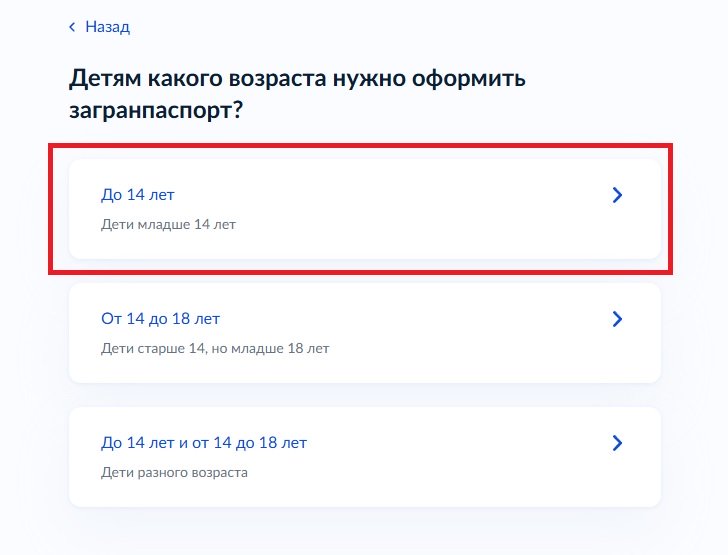 Возраст ребенка для оформления загранпаспорта Возраст ребенка для оформления загранпаспорта