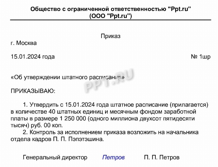 Приказ о штатном расписании 2024 | Скачать бланка, формы