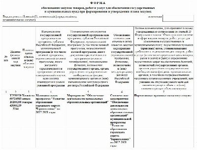 В наименовании и описании объекта закупки в плане графике указываются следующие характеристики