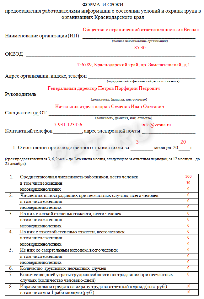 Занятость на каникулах образец