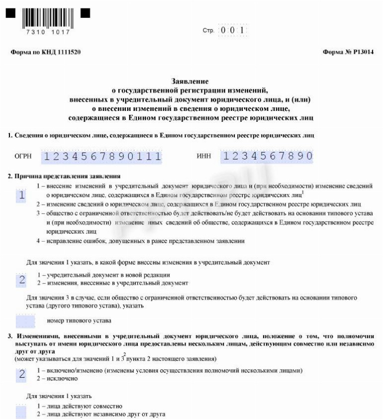 Пошаговая инструкция по смене директора ООО в 2023 году