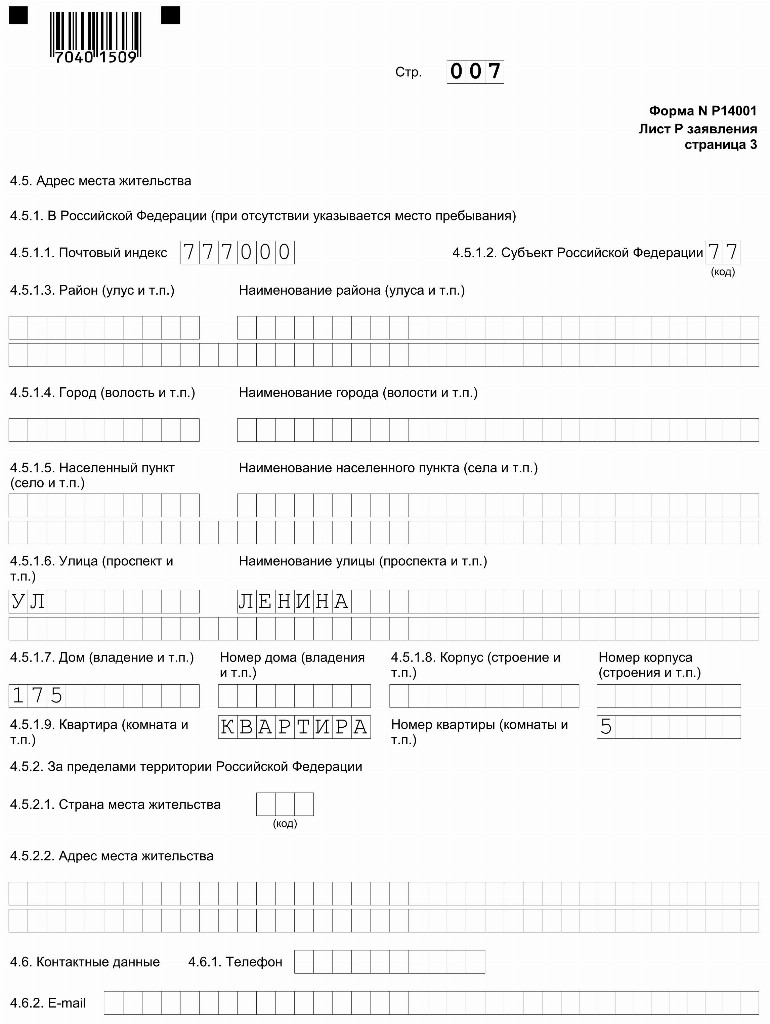 P14001 образец заполнения