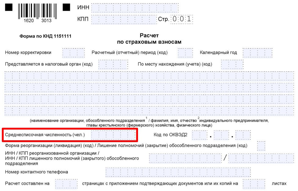 Отчетность За 3 Квартал 2022 Год Новое