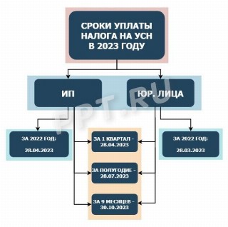 Сроки уплаты налога по УСН для ИП и организаций