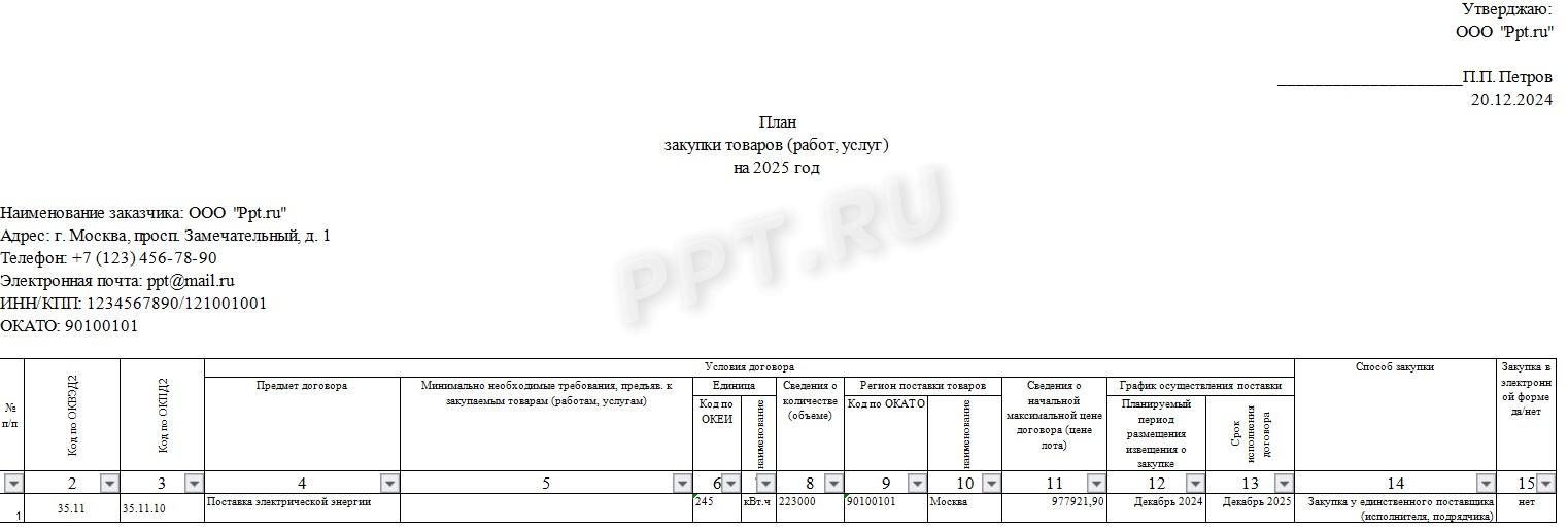 Образец плана закупок по 223-ФЗ на 2025 год