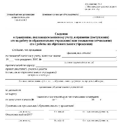 На кого возлагается ответственность за общее руководство и организацию работ по ликвидации сдо